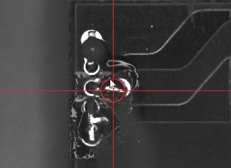 �������ຸ