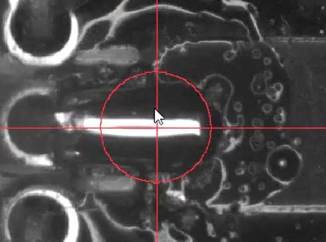 �������ຸ